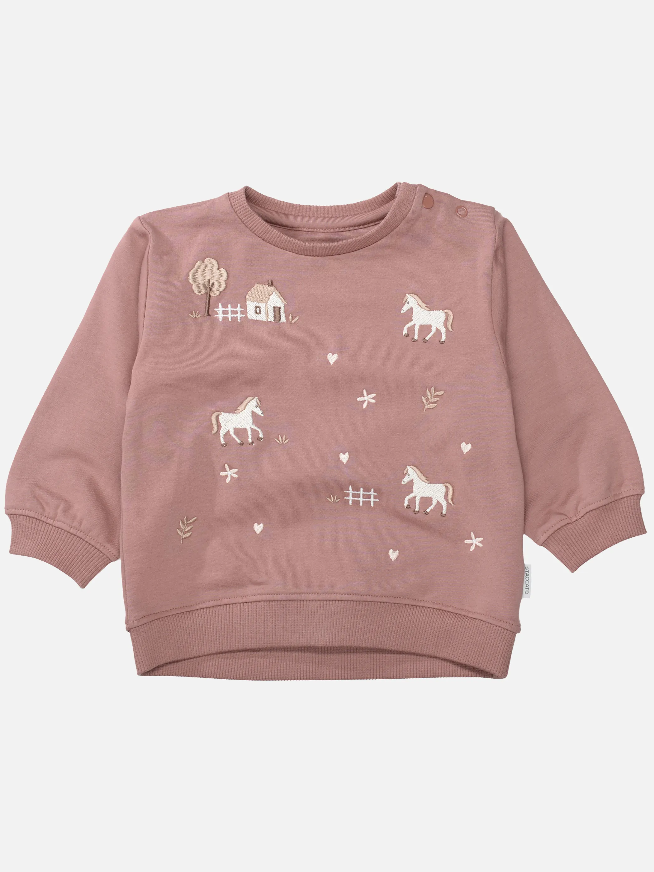 Staccato 230094862 Md.-Sweatshirt Rosa 930758 414 1