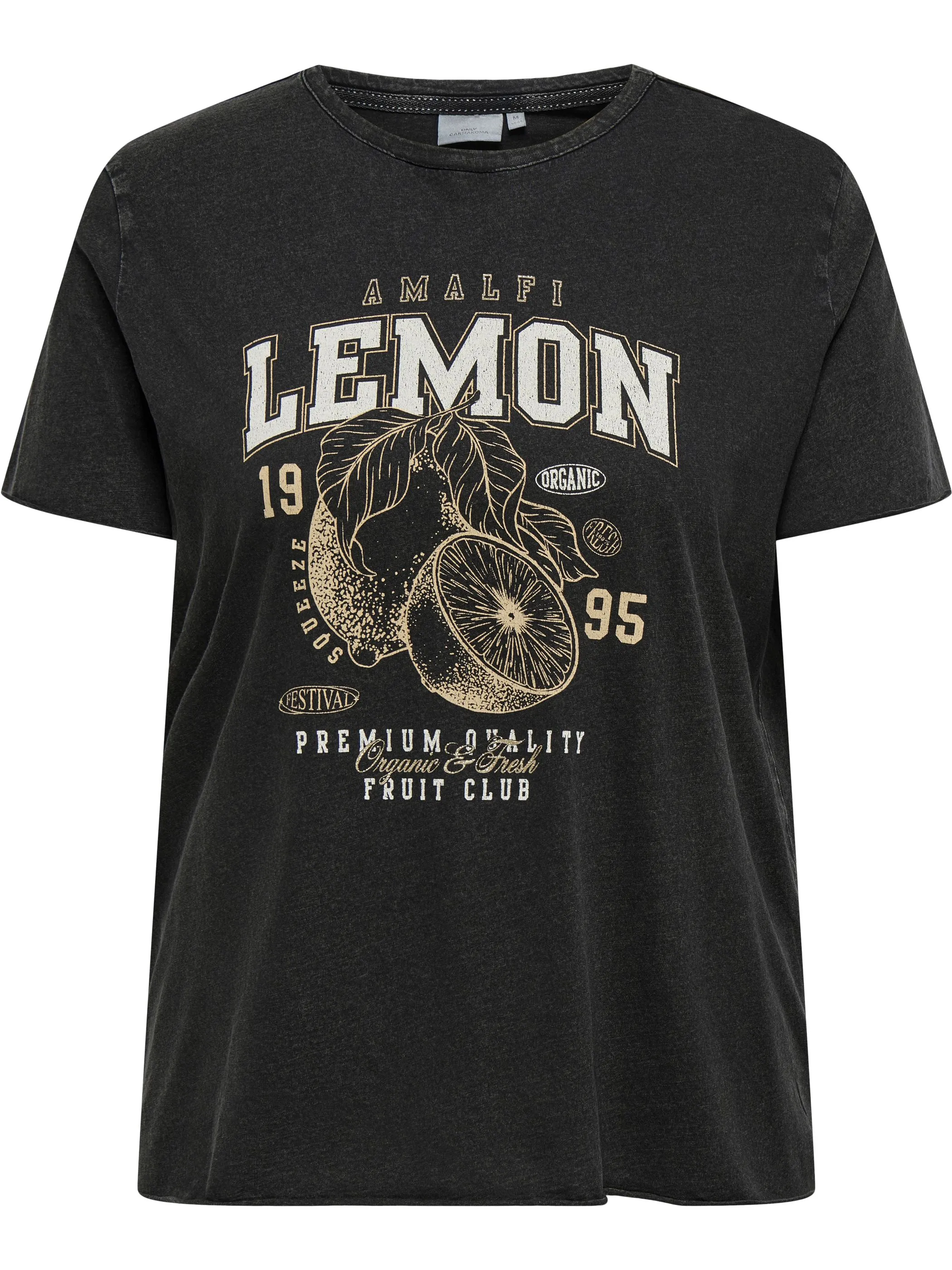 Only Carmakoma 15299503 CARLUCY LIFE REG S/S Schwarz 922442 177911013 4