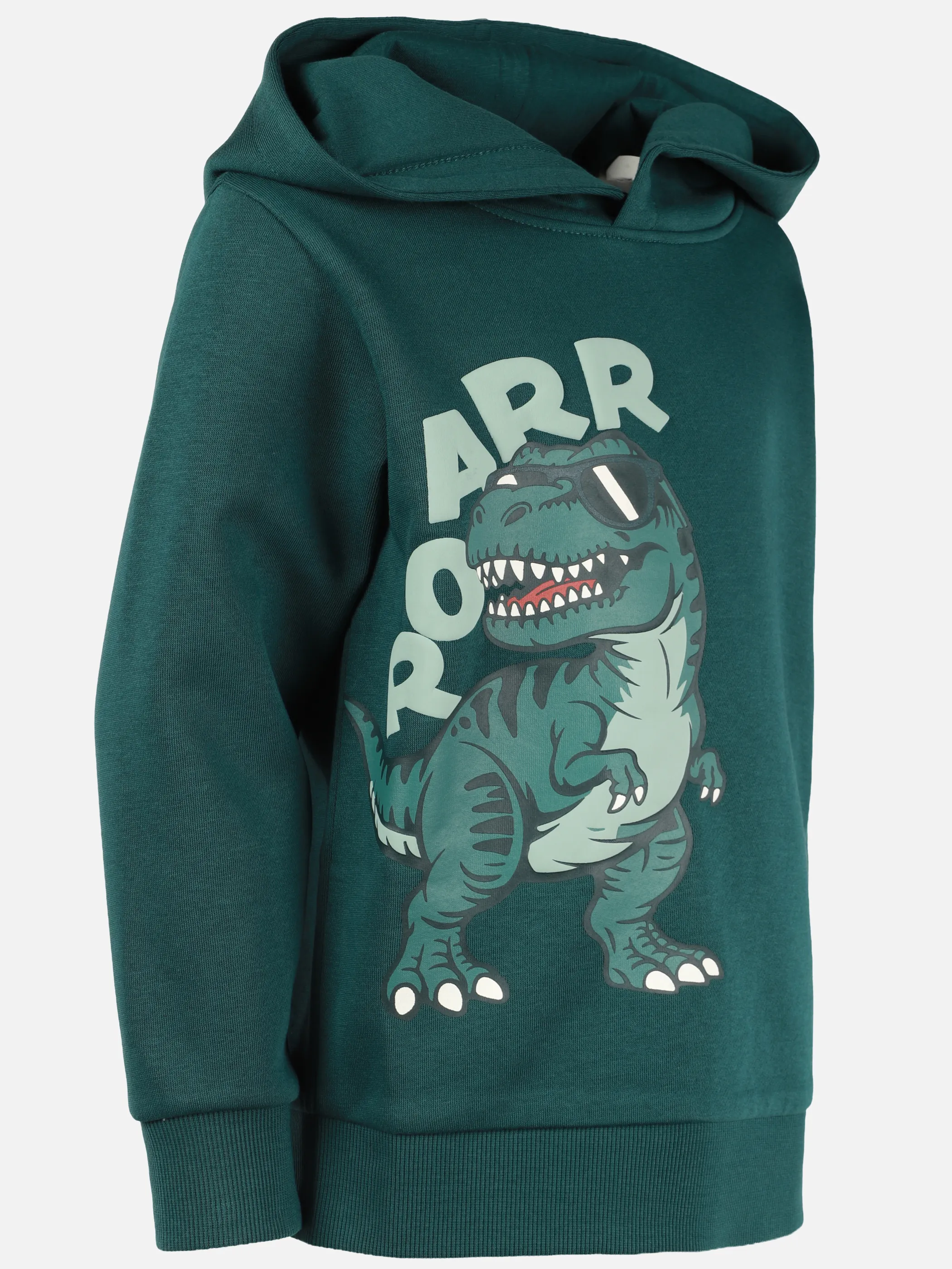 One Way KJ Hoodie mit Dino "ROAR"  FP in grün Grün 929726 SEA MOSS 3