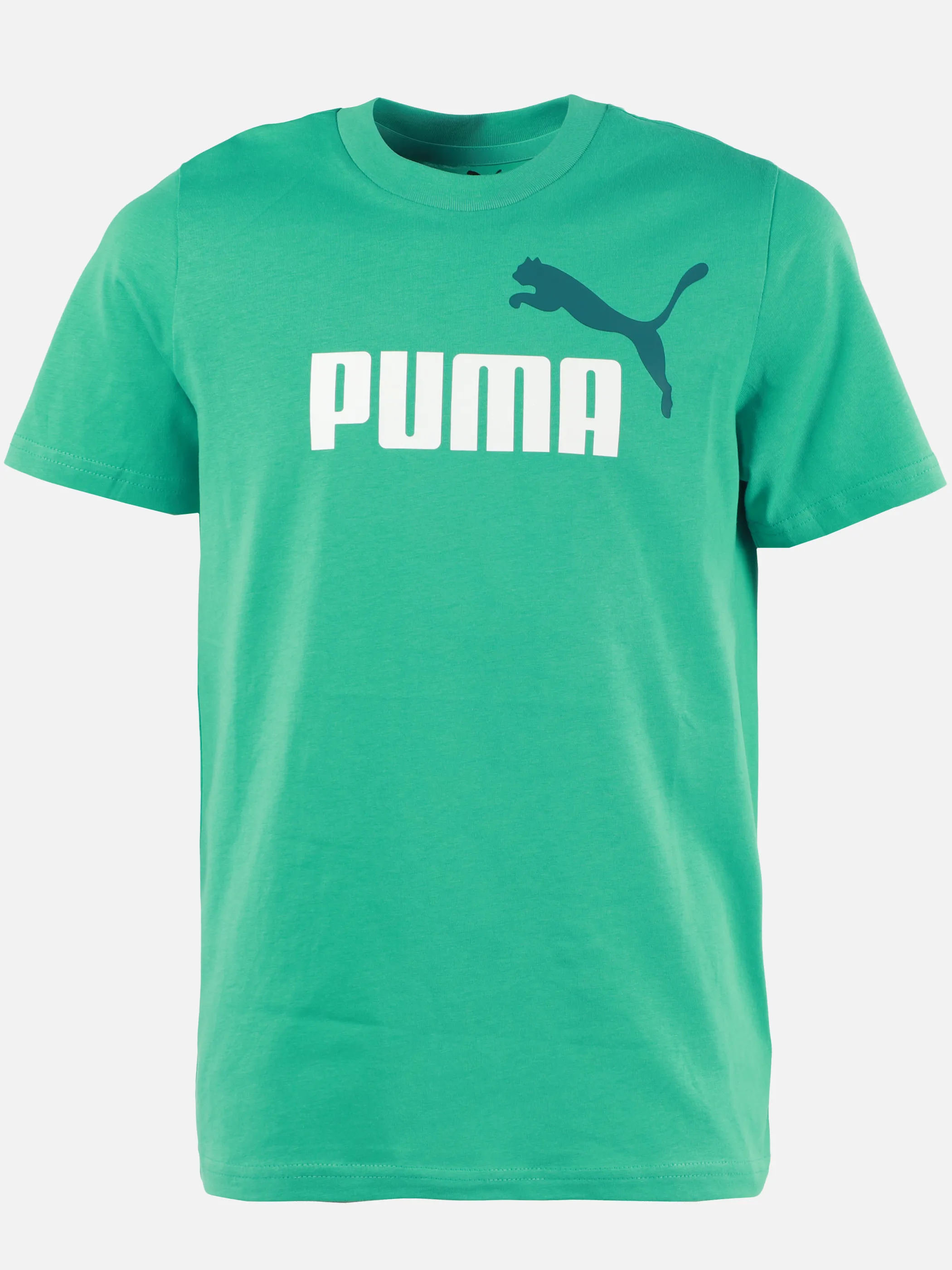 Puma 685778-40 TB-T-Shirt ESS COLOUR NO.1 LOGO Grün 925836 40 1
