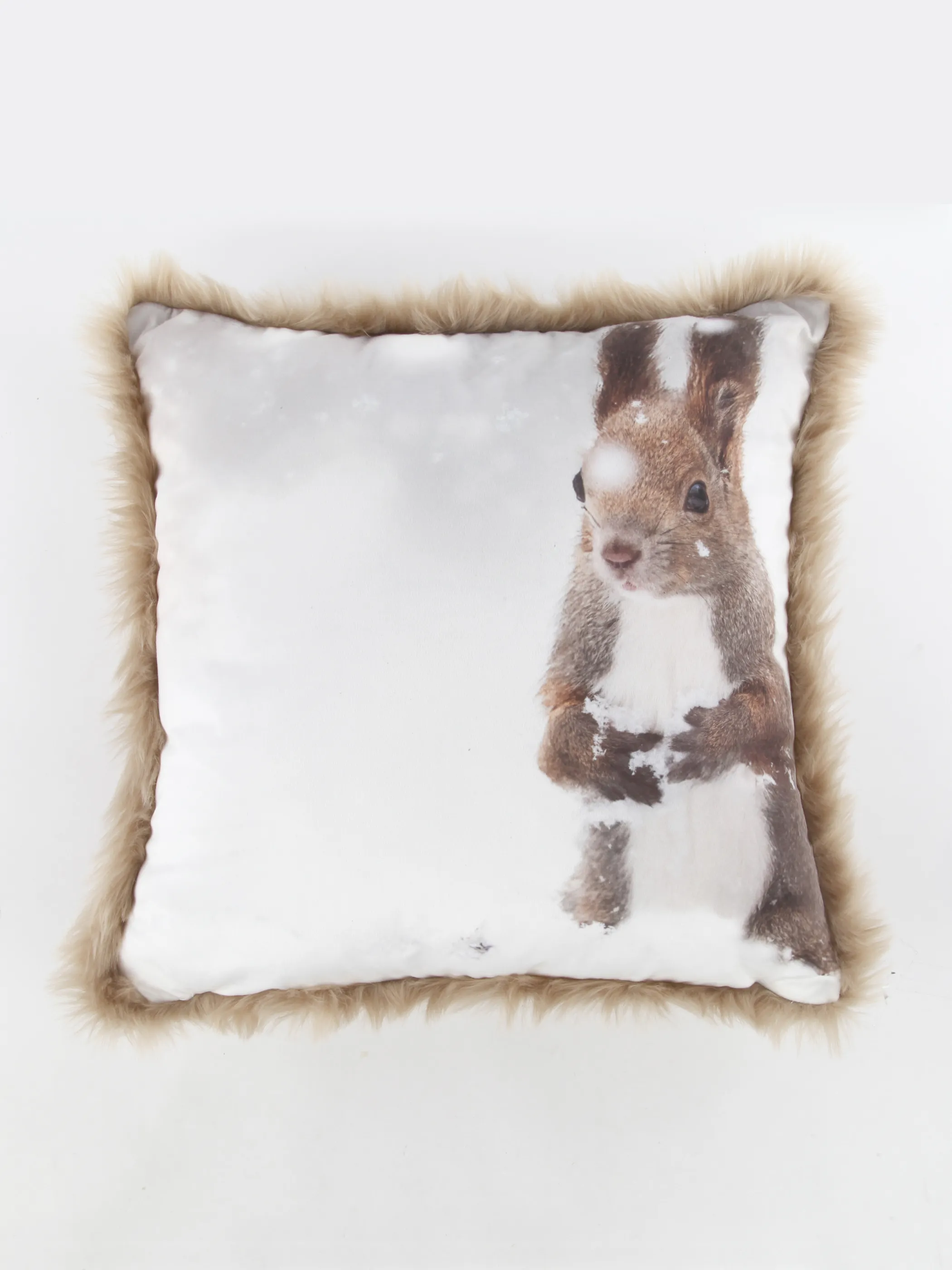 Dream House Kissen Fotodruck 45x45 mit Fel Bunt 915861 BUNT B 1 Dream House Kissen Fotodruck 45x45 mit Fel Bunt 915861 BUNT B 1