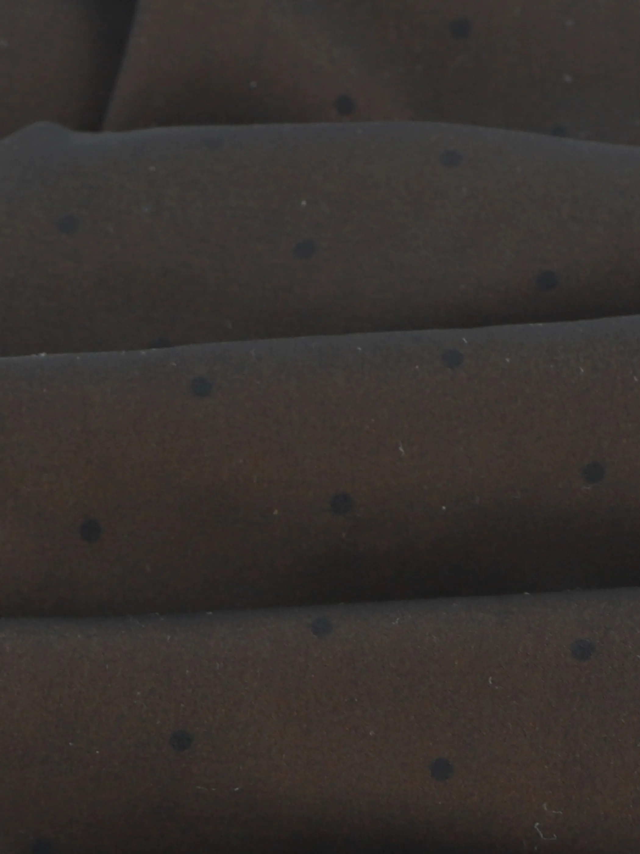 Camano 1132003 Women light warm & transparent Schwarz 904819 9997 3 Camano 1132003 Women light warm & transparent Schwarz 904819 9997 3