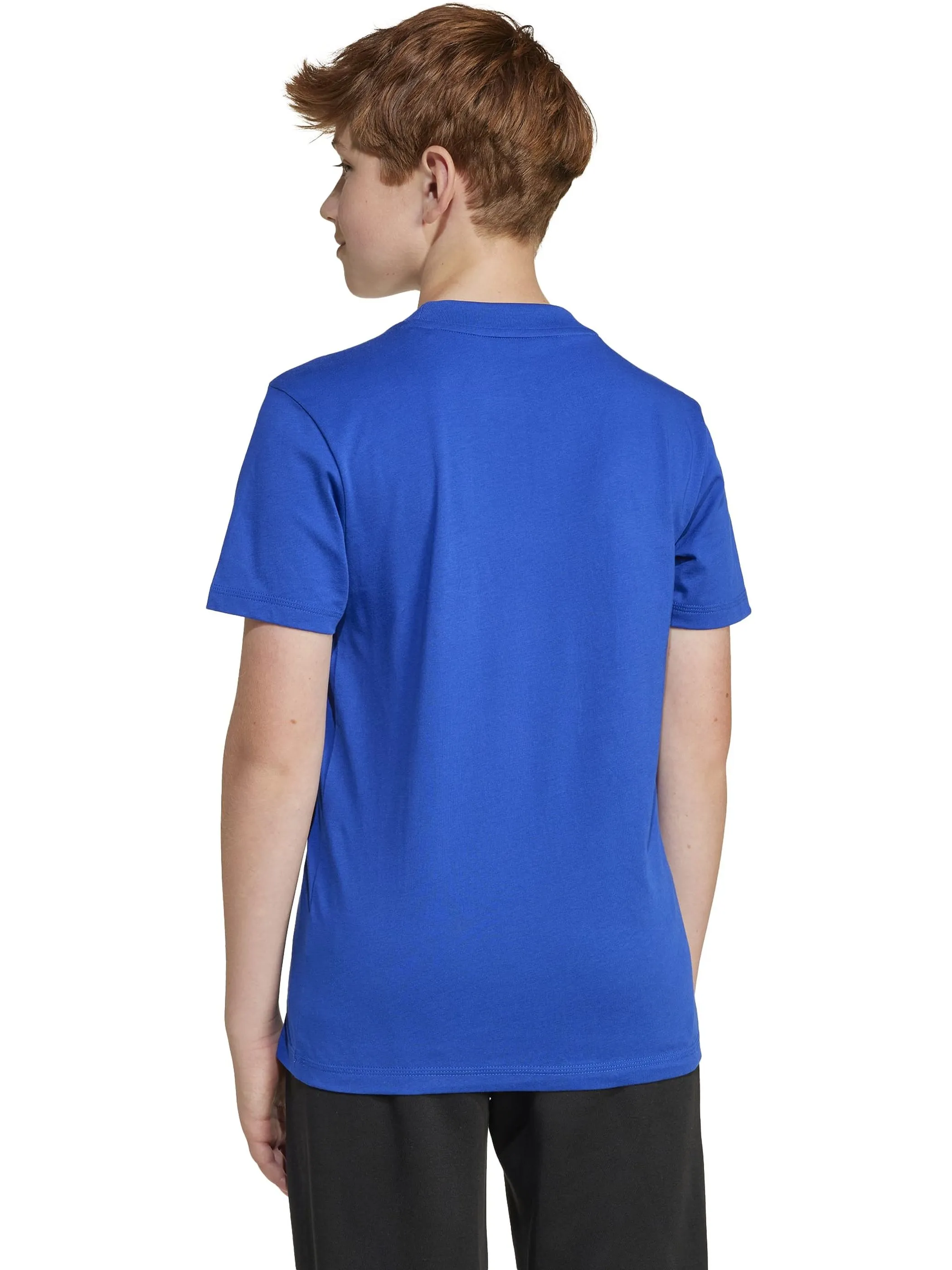 Adidas JC9661 TB-TShirt Logo Groß blau Blau 904922 000 2