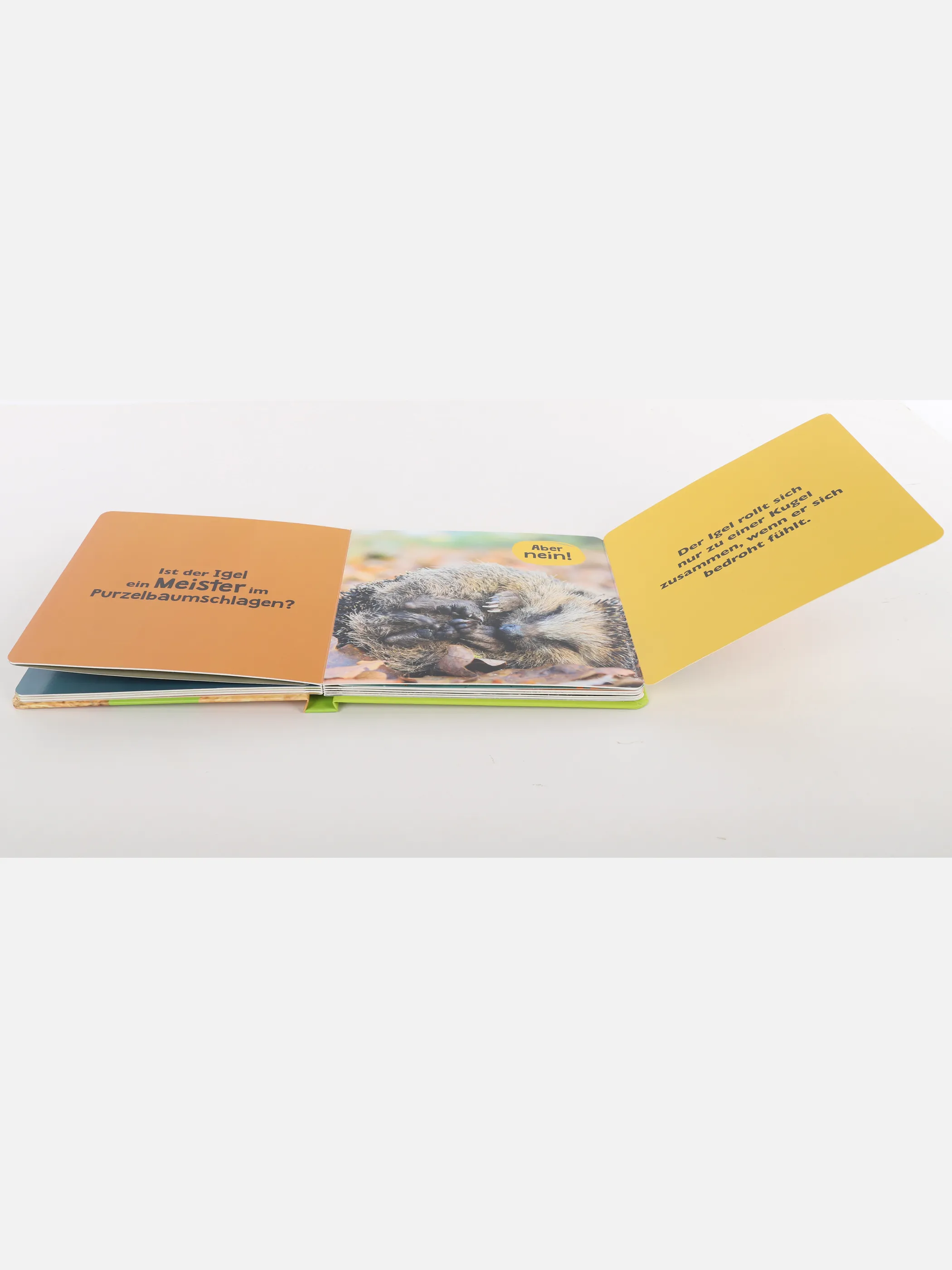 Bücher Kleinkinder Buch Was meinst Du Bunt 898525 BUNT2 3 Bücher Kleinkinder Buch Was meinst Du Bunt 898525 BUNT2 3