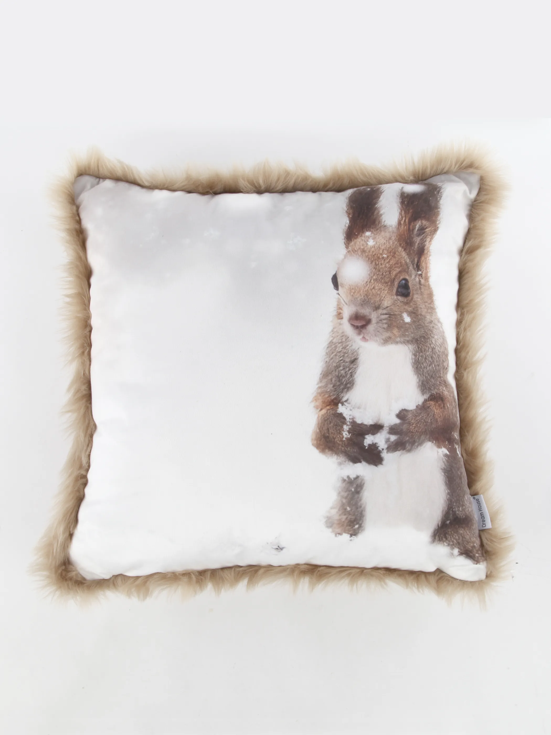 Dream House Kissen Fotodruck 45x45 mit Fel Bunt 915861 BUNT B 2 Dream House Kissen Fotodruck 45x45 mit Fel Bunt 915861 BUNT B 2