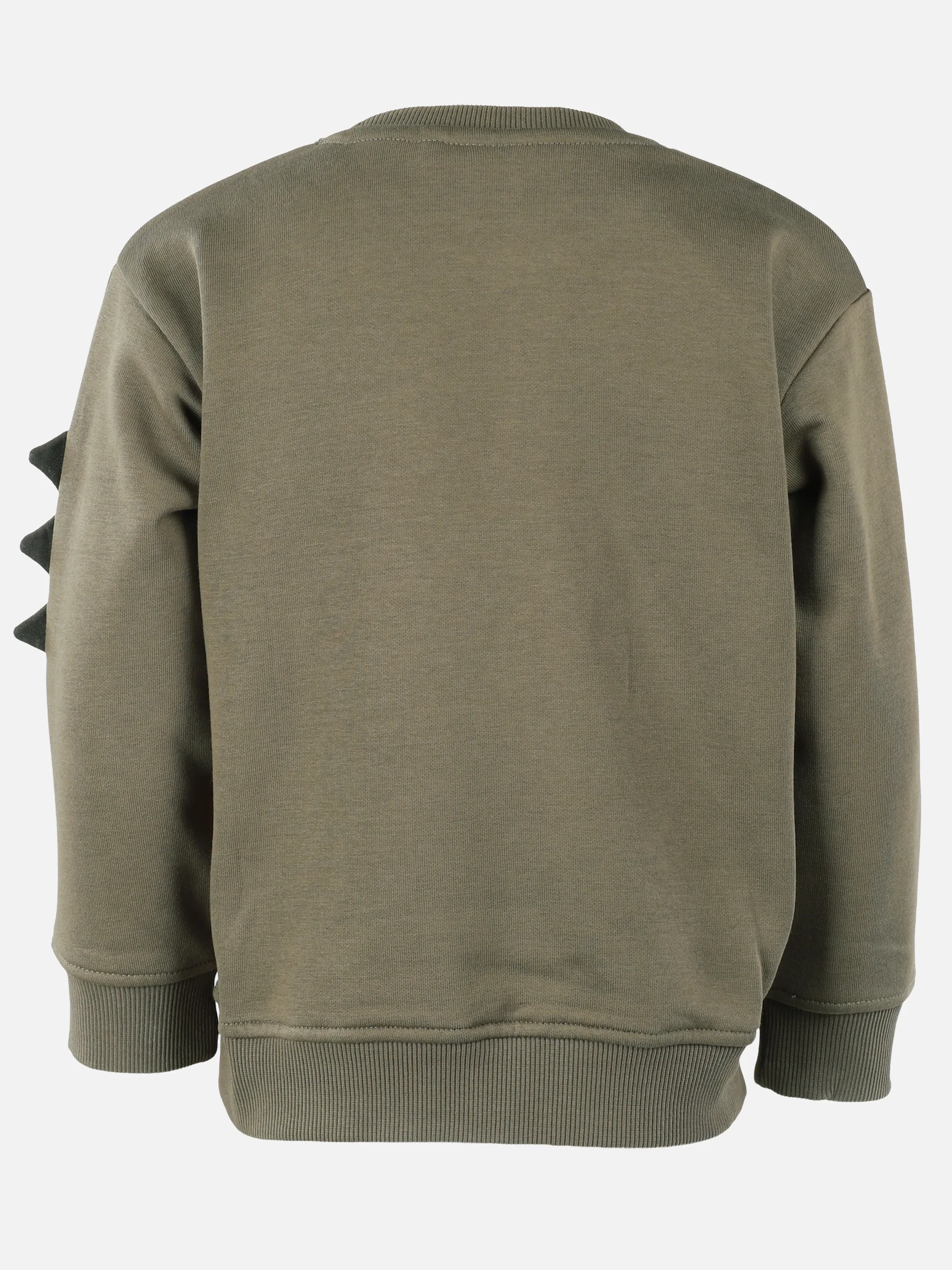 One Way KJ Sweatshirt mit Dino FP und Zacken am Arm Grün 929739 SEATURTLE 2