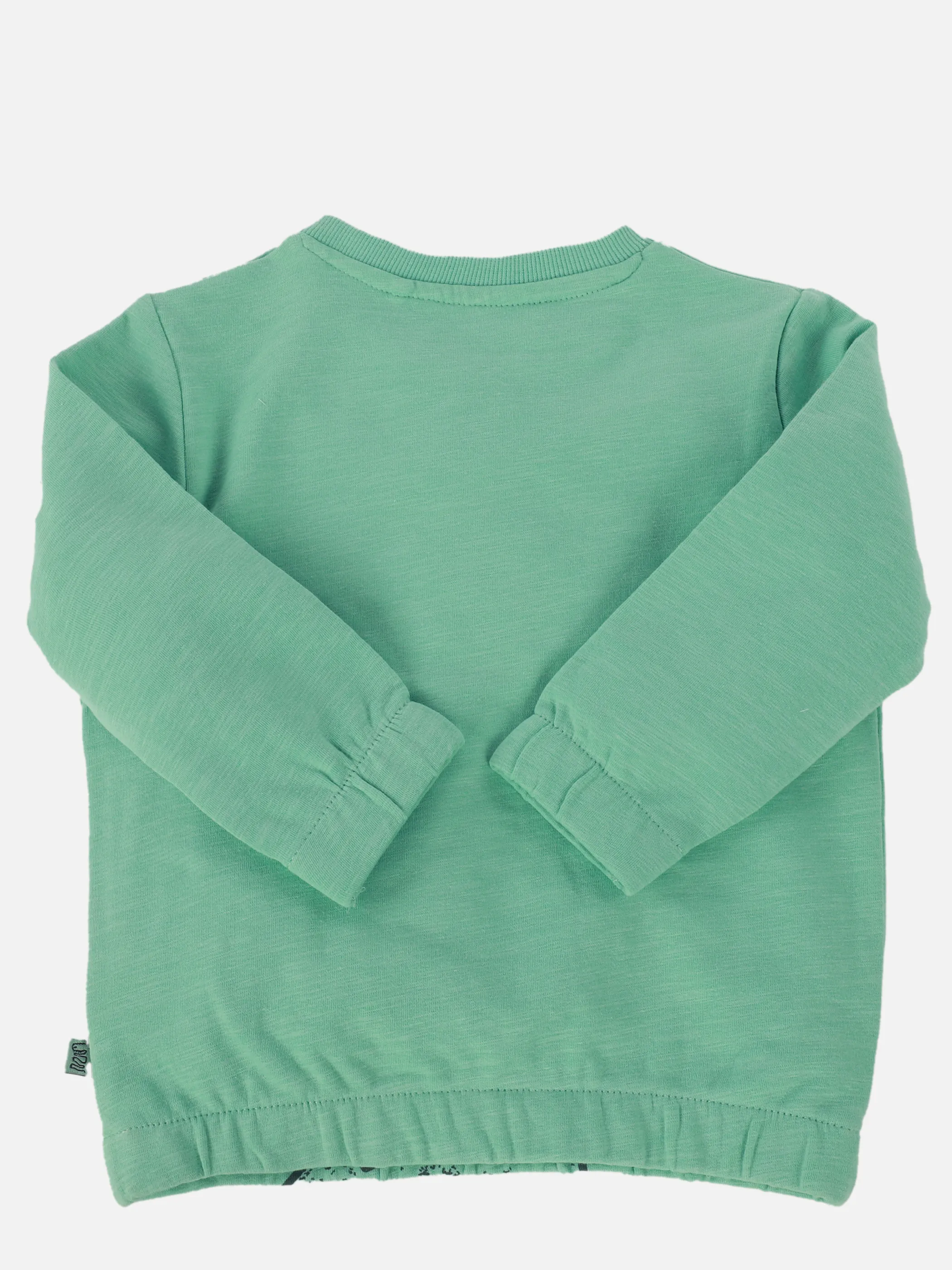 Bubble Gum BJ Sweatshirt mit Dino Print und Appli. in grün Grün 906645 GRÜN 2