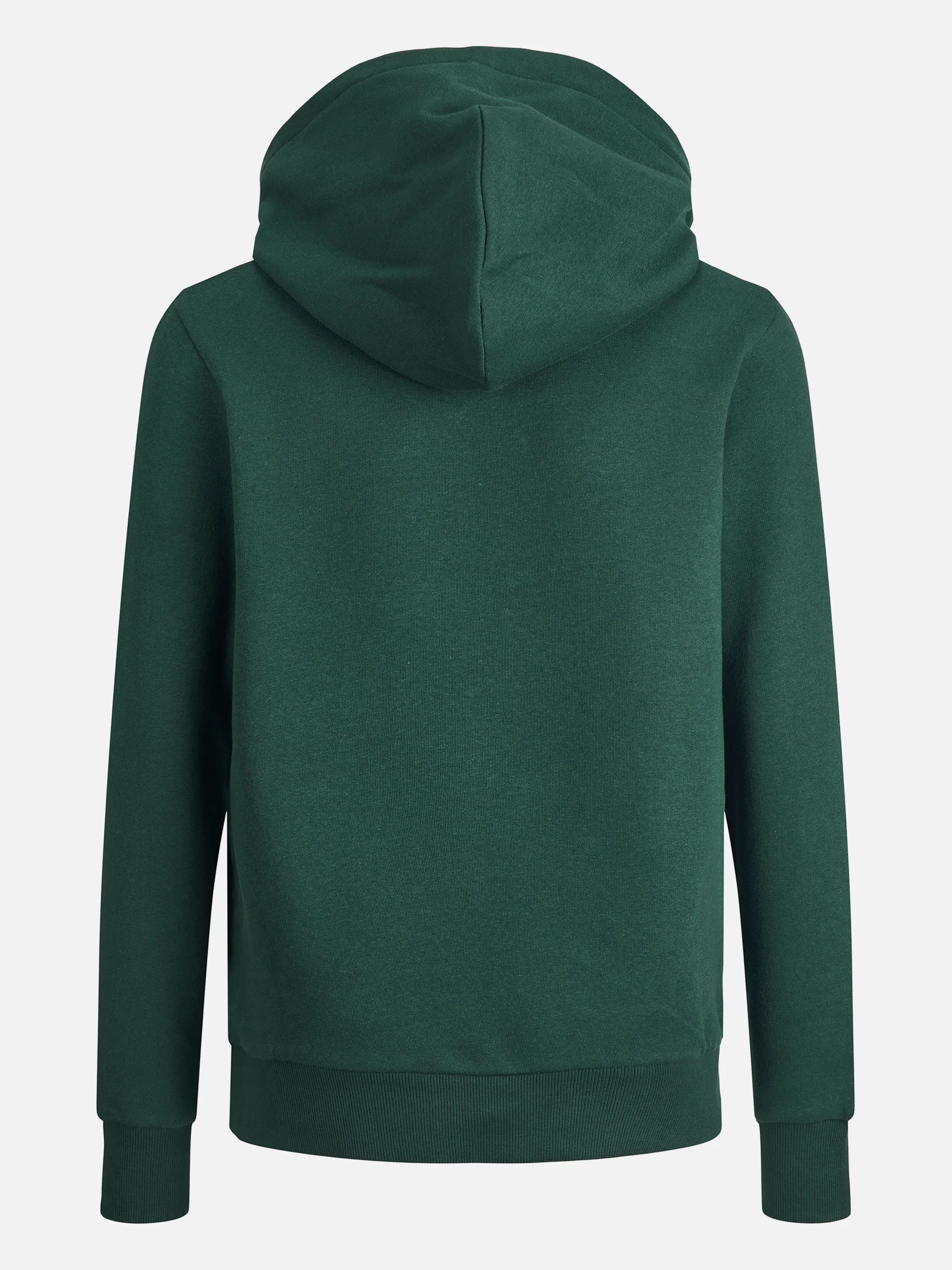 Jack&Jones Junior 12152841 JJECORP LOGO SWEAT HO Grün 847246 176272006 2