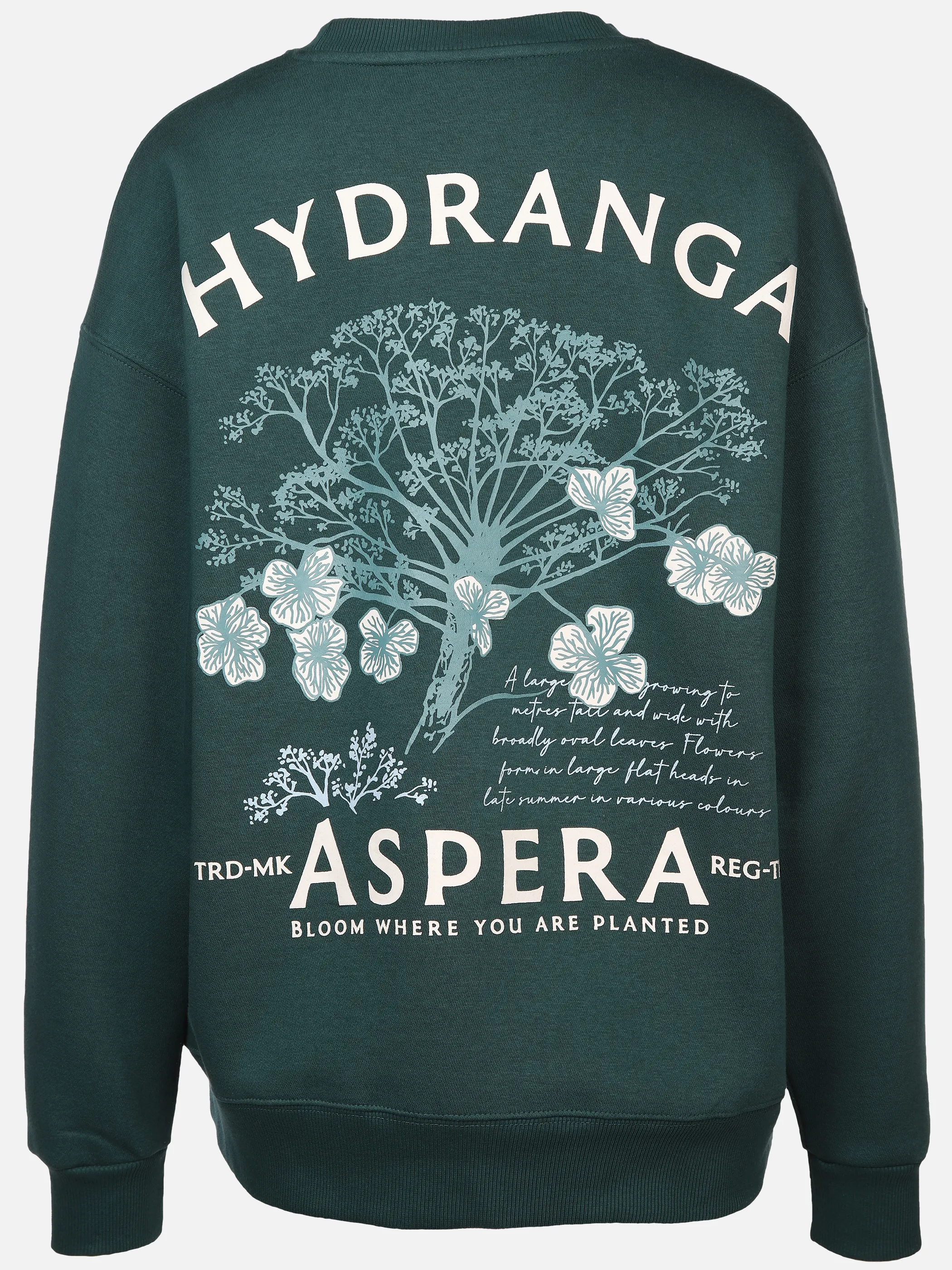 IX-O YF Da- Sweatshirt Türkis 898662 19-4726TCX 2 IX-O YF Da- Sweatshirt Türkis 898662 19-4726TCX 2