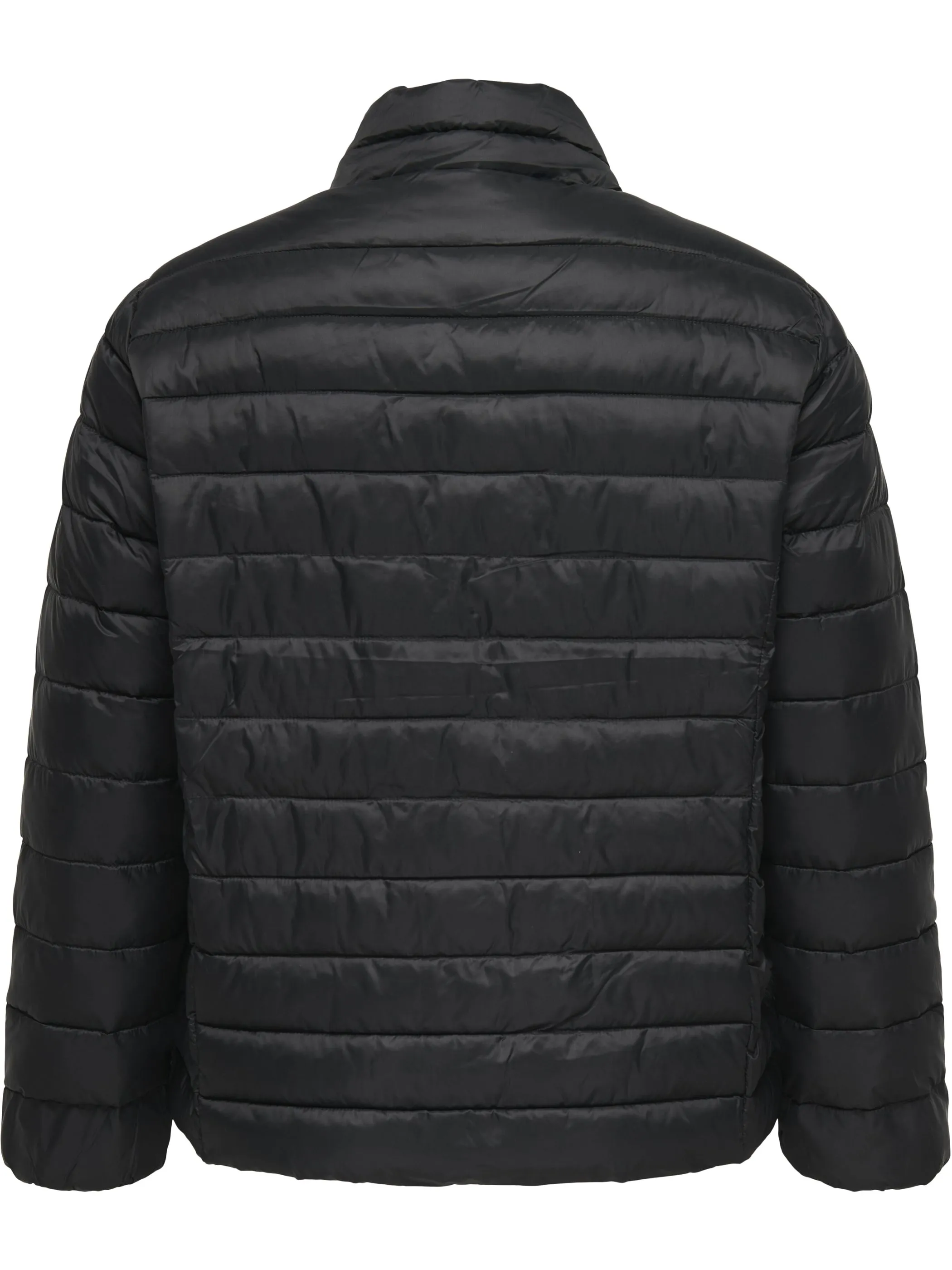 Only Carmakoma 15352684 CARTAHIA LW QUILTED J Schwarz 913106 177911 2