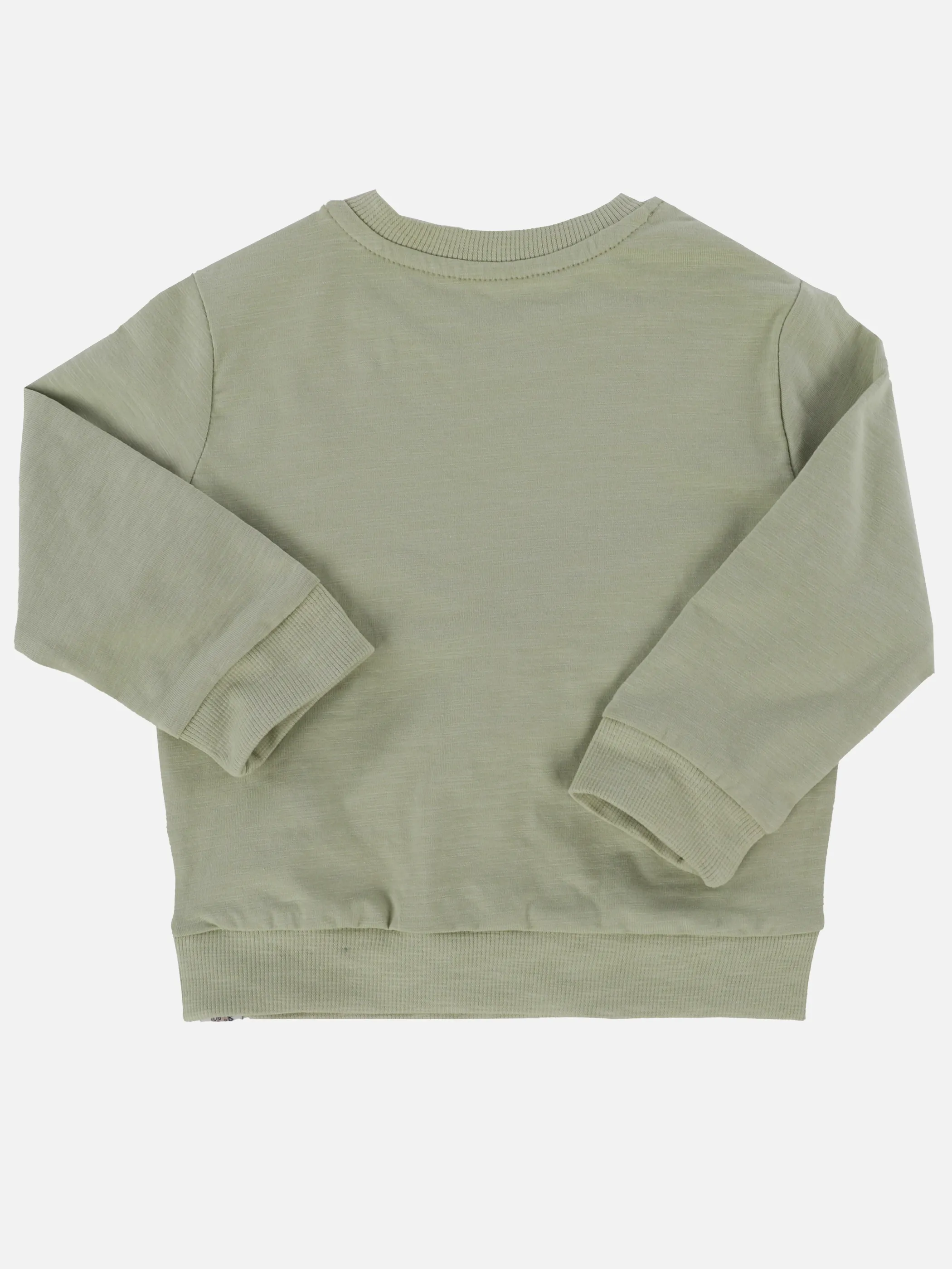Bubble Gum BJ Longsleeve mit Dino Print in grün Grün 913431 GRÜN 2