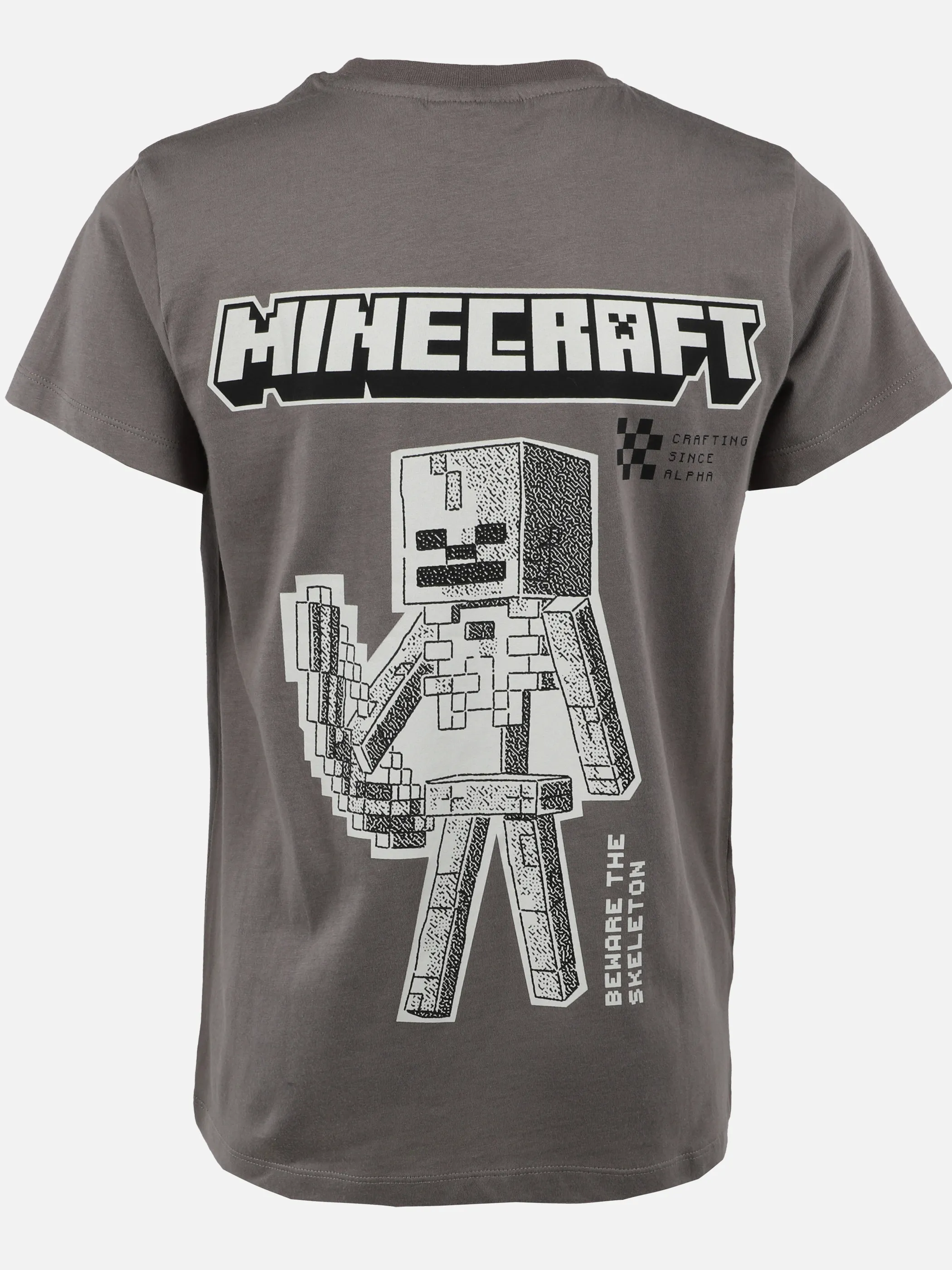Minecraft TB Minecraft T-shirt FP + BP in Grau Grau 923555 GRAU 2
