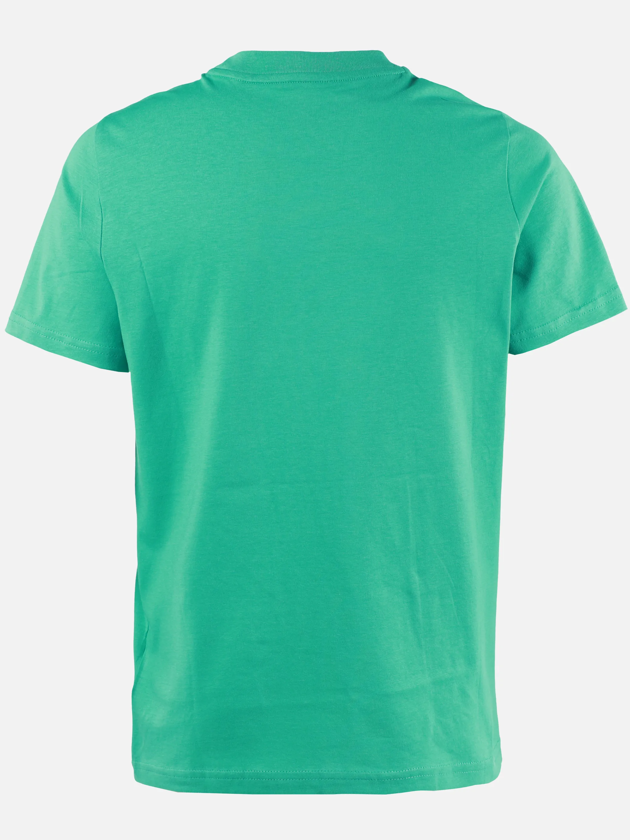 Puma 685778-40 TB-T-Shirt ESS COLOUR NO.1 LOGO Grün 925836 40 2