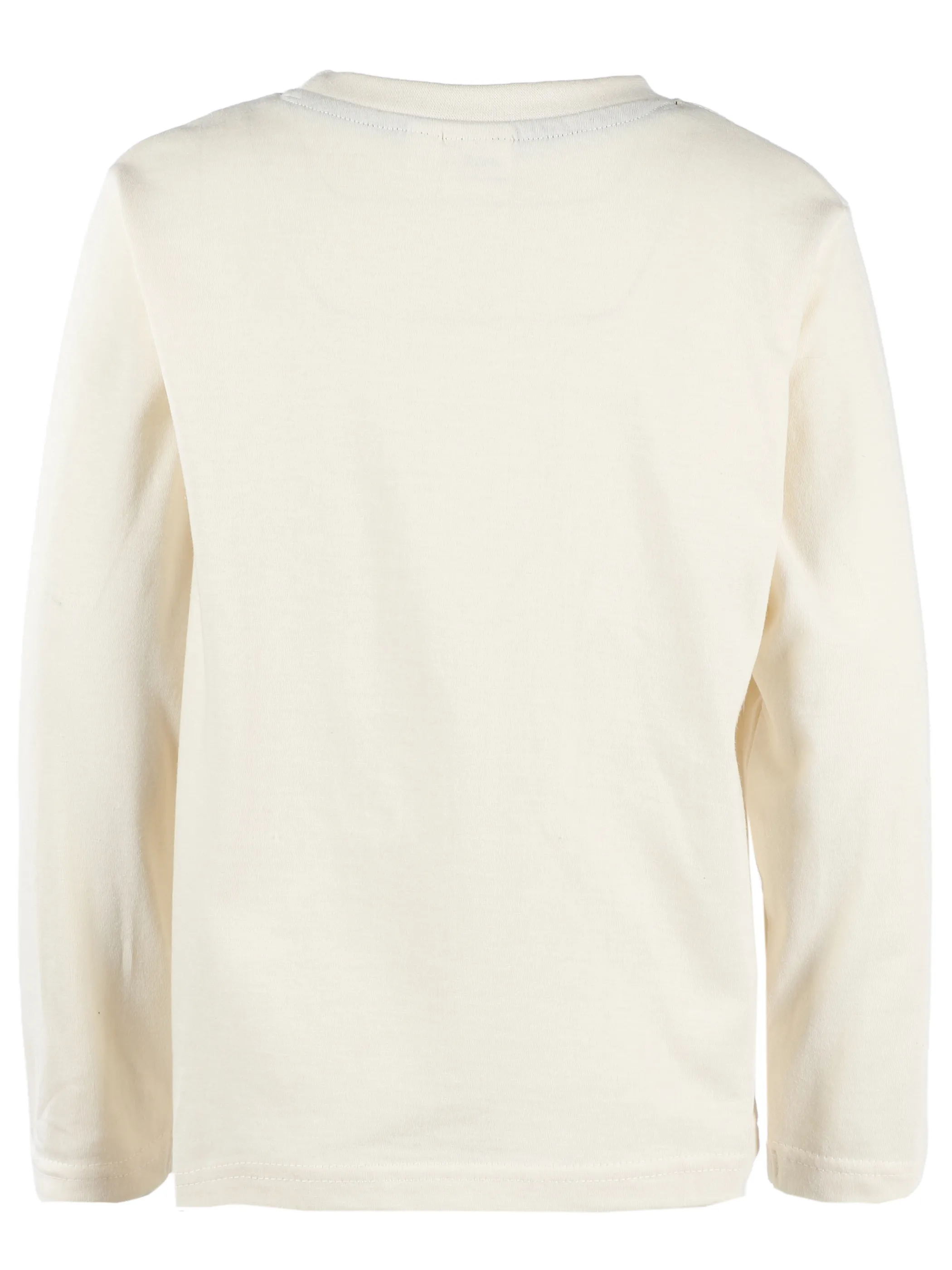 PAW Patrol KJ Longsleeve Shirt mit Paw Patrol Print in beige Beige 914099 BEIGE 2