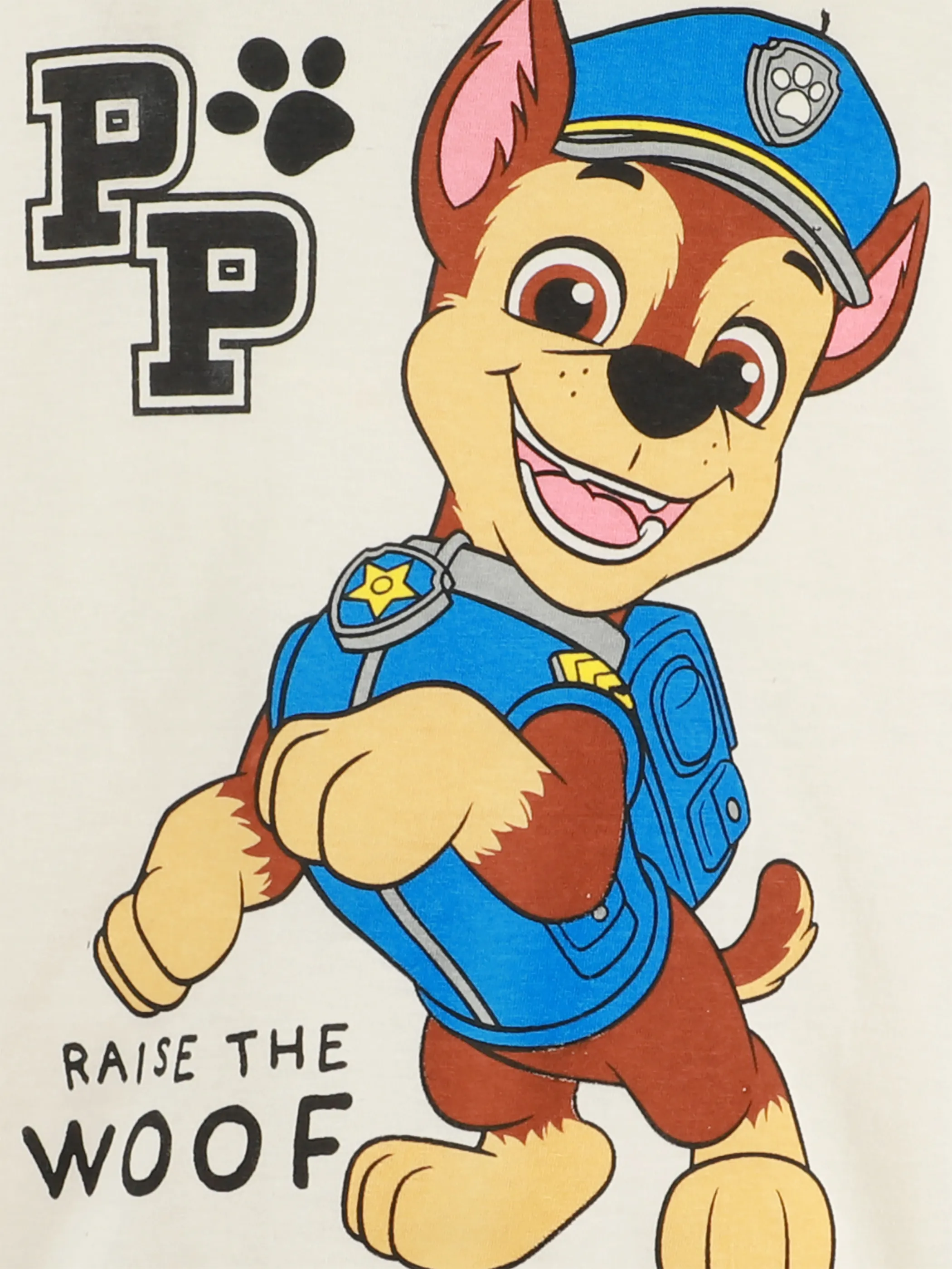 PAW Patrol KJ Longsleeve Shirt mit Paw Patrol Print in beige Beige 914099 BEIGE 3