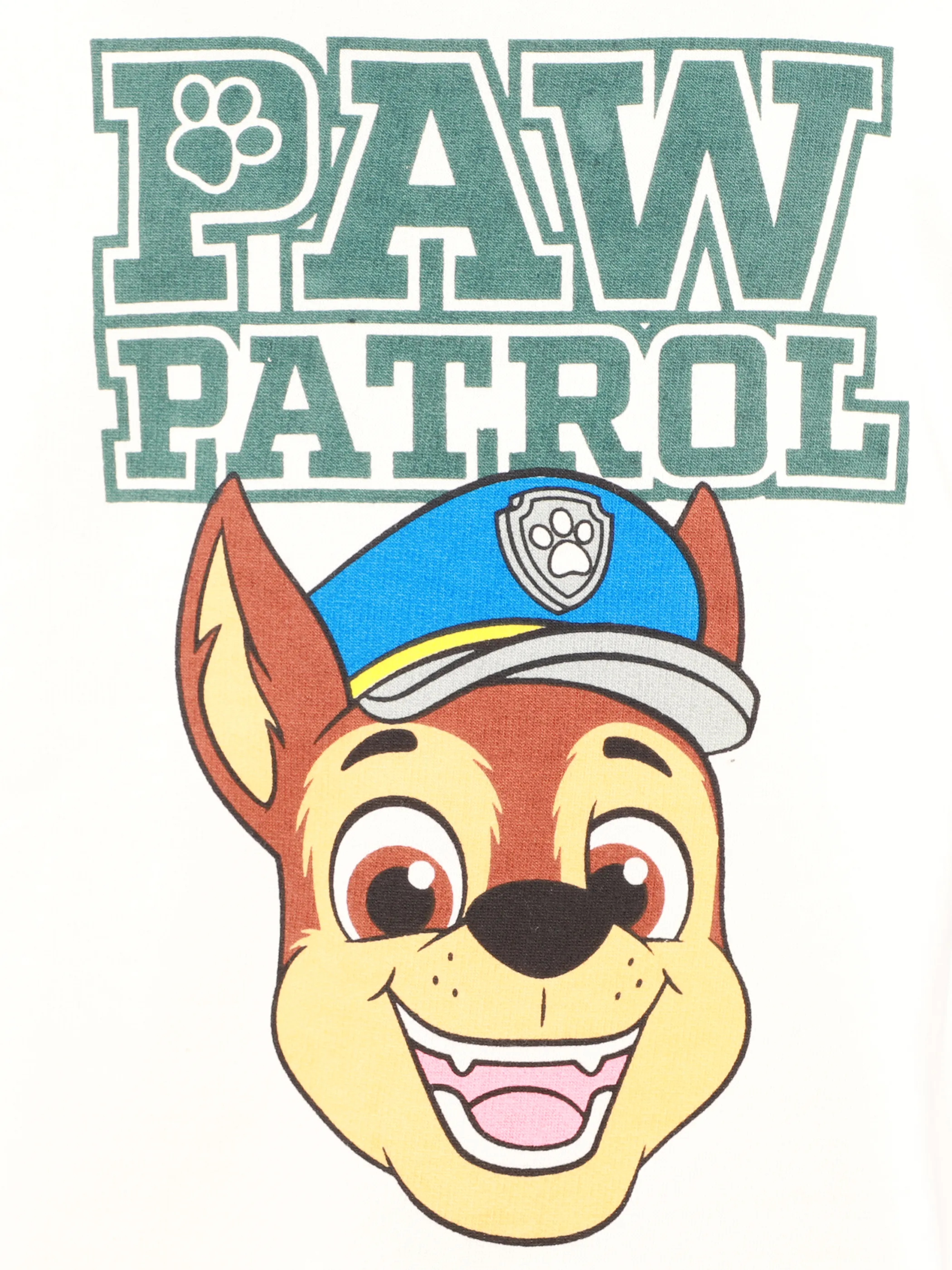 PAW Patrol KJ Sweatshirt mit Paw Patrol Print in beige/grün Beige 914100 BEIGE 3