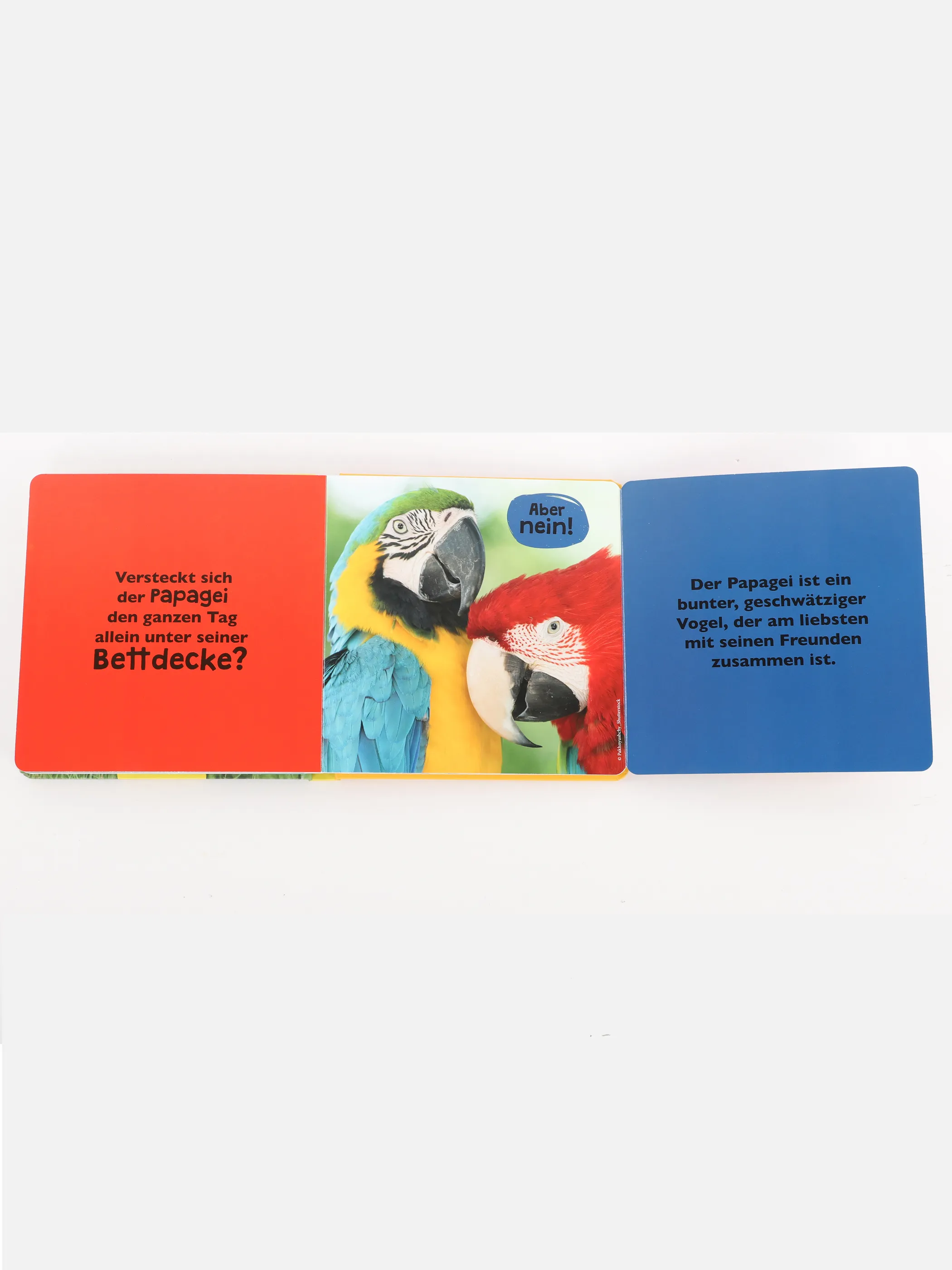 Bücher Kleinkinder Buch Was meinst Du Bunt 898525 BUNT1 4 Bücher Kleinkinder Buch Was meinst Du Bunt 898525 BUNT1 4