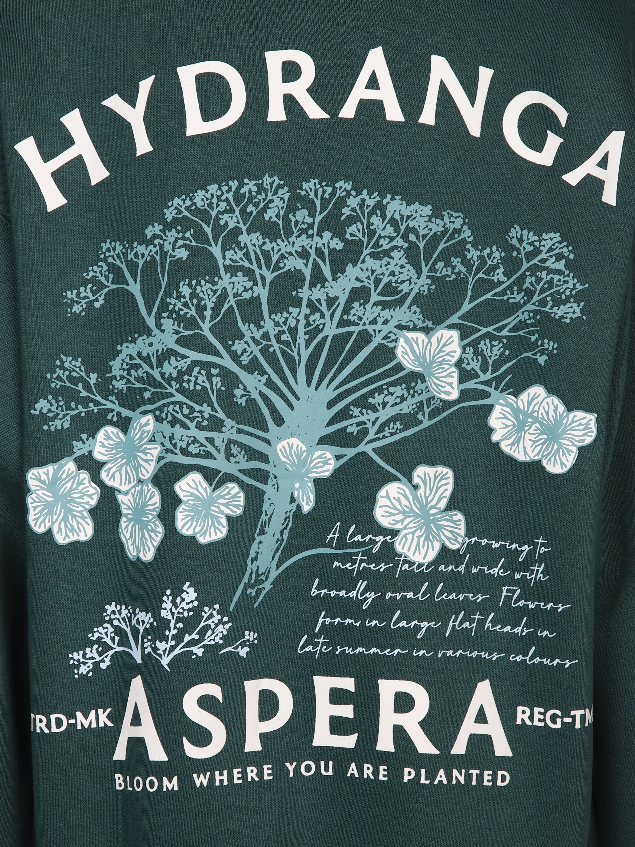 IX-O YF Da- Sweatshirt Türkis 898662 19-4726TCX 3 IX-O YF Da- Sweatshirt Türkis 898662 19-4726TCX 3