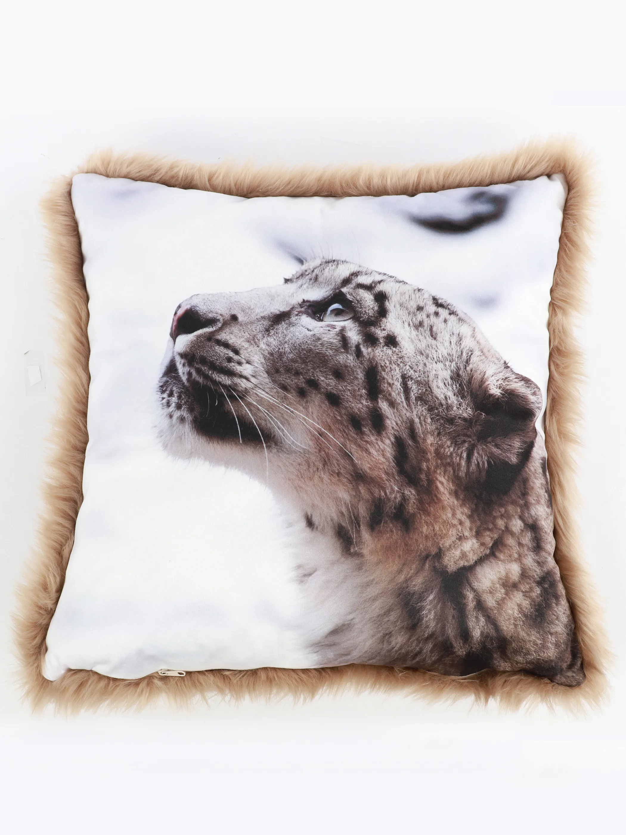 Dream House Kissen Fotodruck 45x45 mit Fel Bunt 915861 BUNT 2 Dream House Kissen Fotodruck 45x45 mit Fel Bunt 915861 BUNT 2