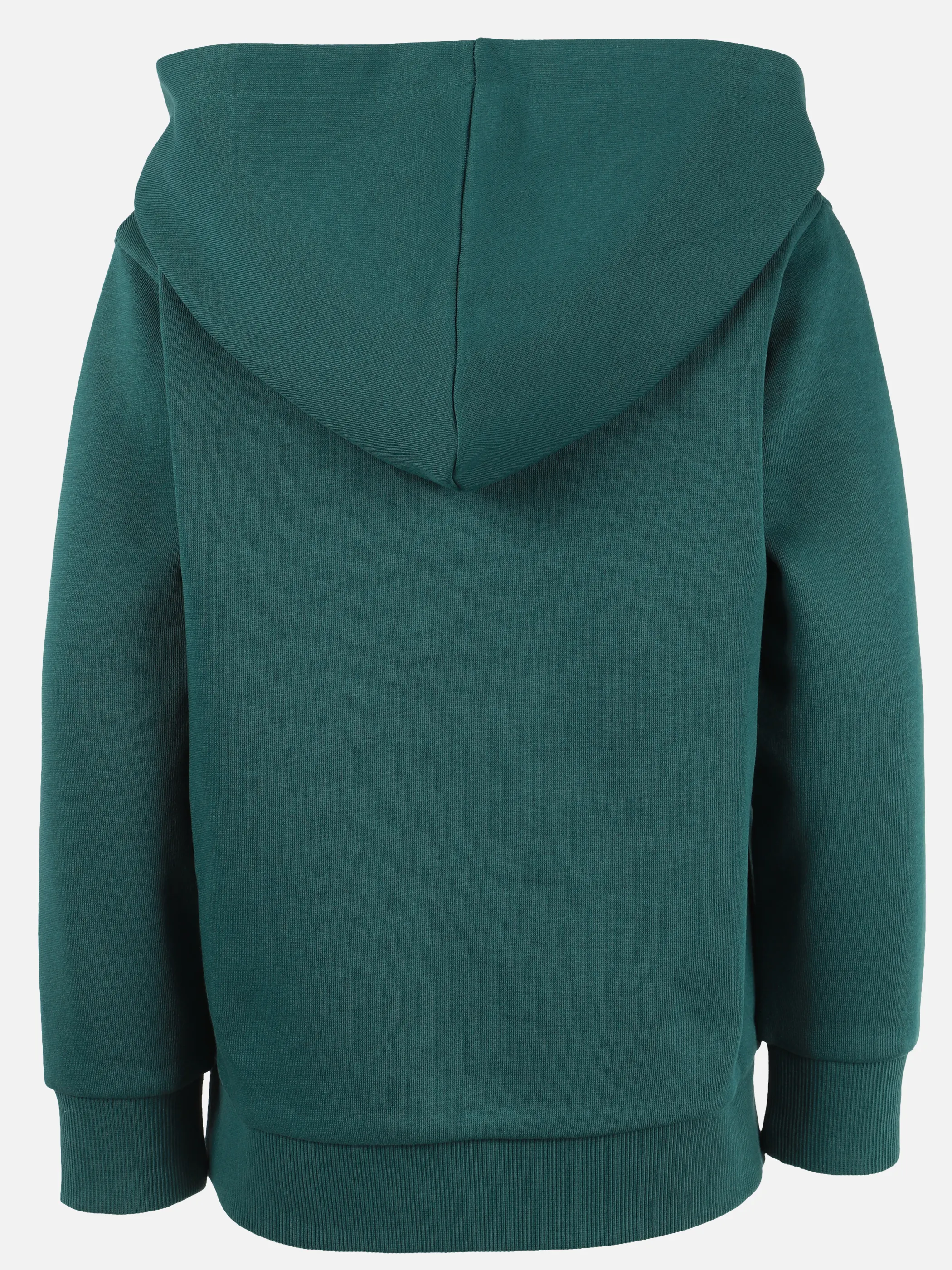 One Way KJ Hoodie mit Dino "ROAR"  FP in grün Grün 929726 SEA MOSS 2