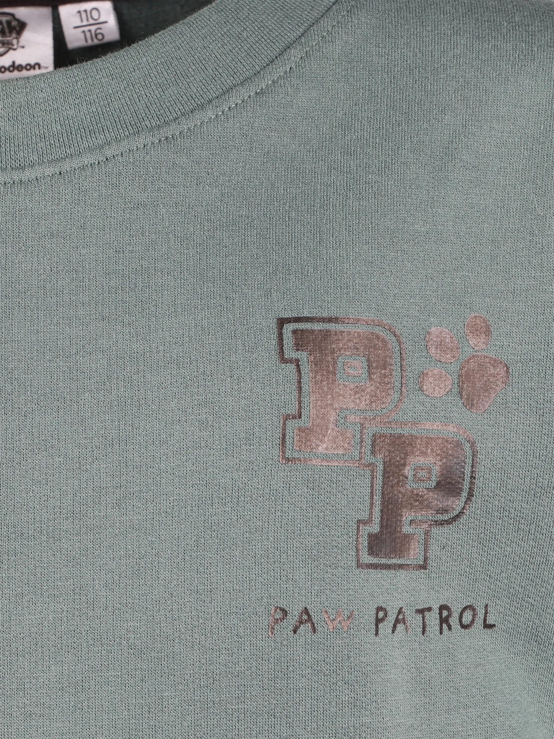 PAW Patrol KJ Sweatshirt mit Paw Patrol Print in grün Grün 914101 GRÜN 3