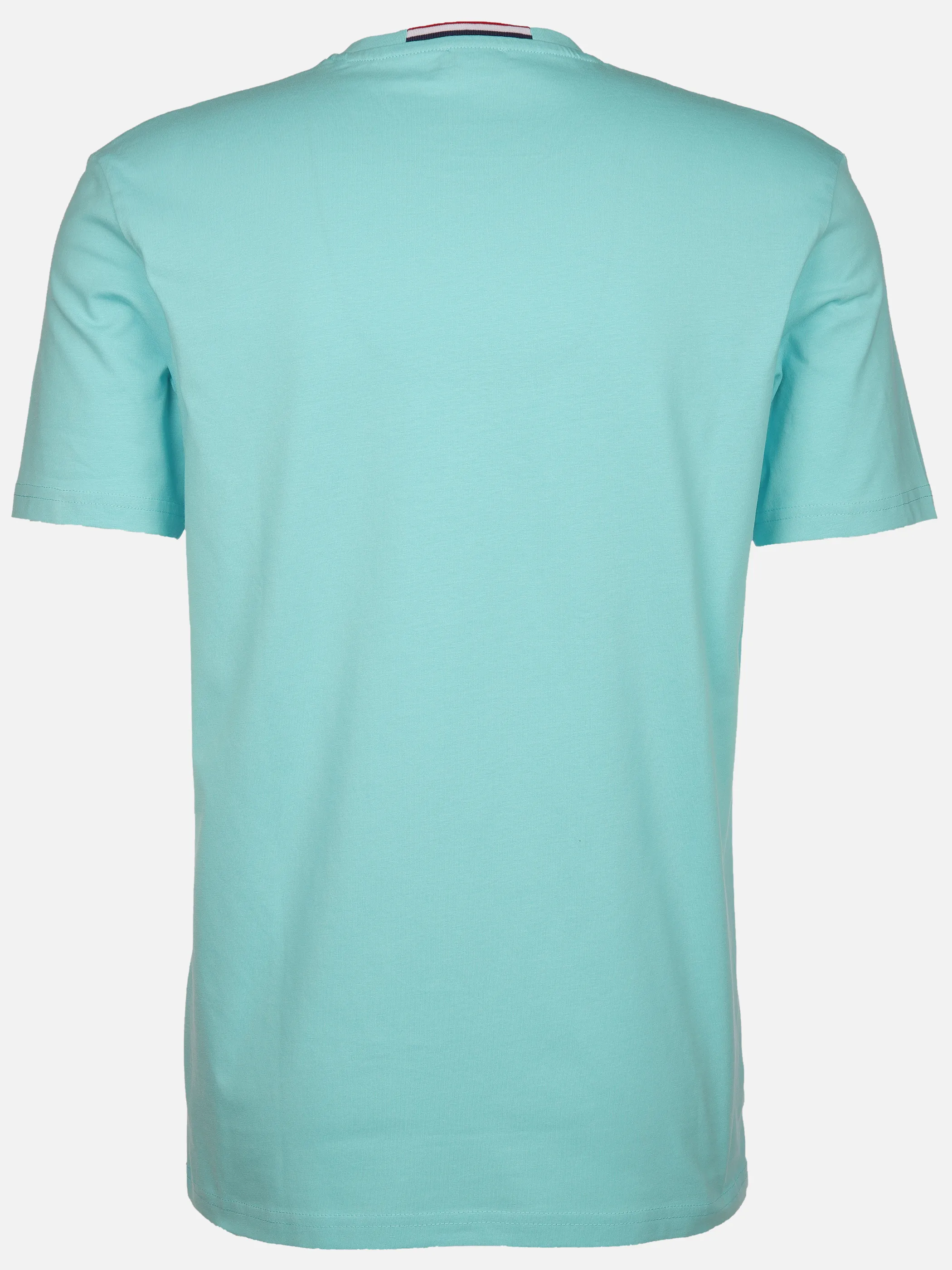 U.S. Polo Assn. He. T-Shirt 1/2 Arm Logostickerei Türkis 882065 TÜRKIS 2