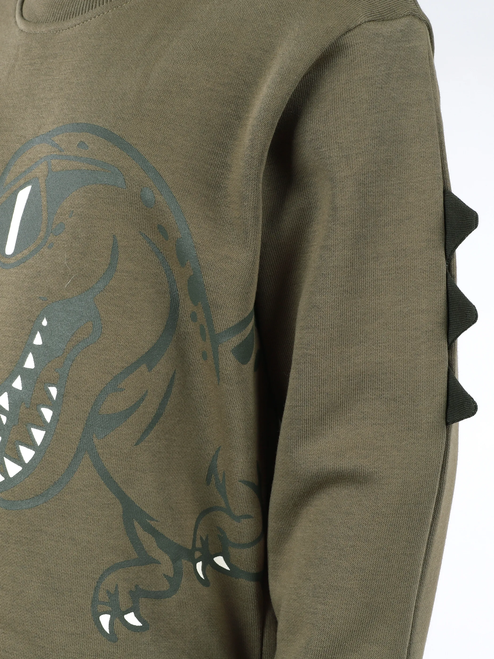 One Way KJ Sweatshirt mit Dino FP und Zacken am Arm Grün 929739 SEATURTLE 3