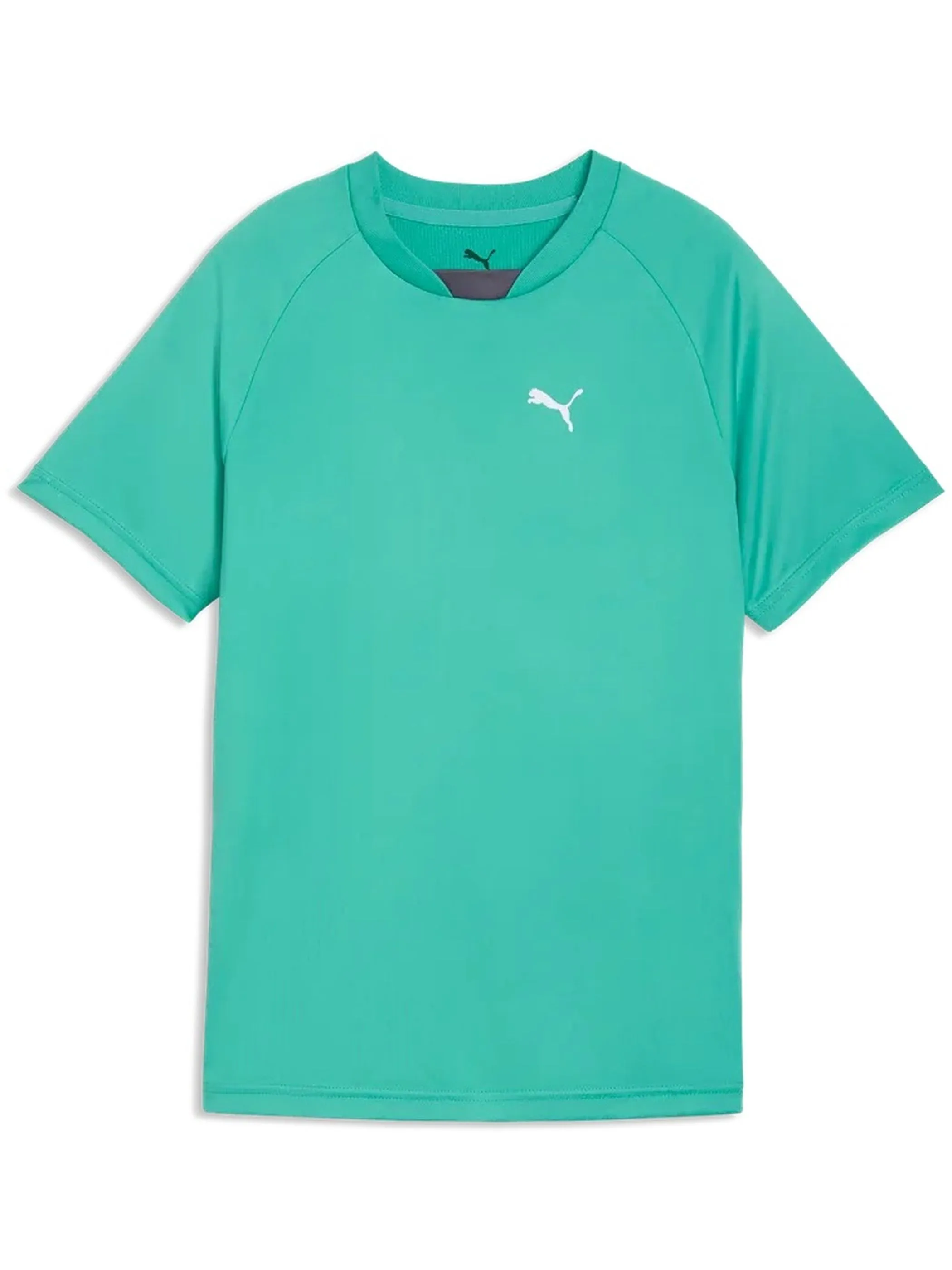 Puma 691756-40 TB-Sport Shirt ACTIVE SPORTS Grün 925812 40 4