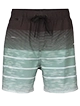 Badeshorts mit Farbverlauf und Streifenmuster